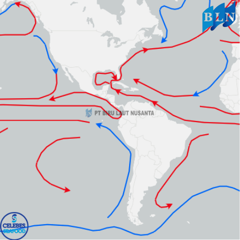 The Science Behind Ocean Currents and Their Effects